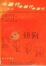 牛跛行 第2版 1987 PDF电子版封面 16144·3217 (加)保罗R.格里诺 芬利J.麦卡勒姆 (英)A.戴维 韦弗