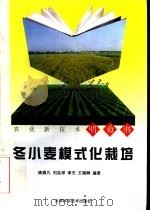冬小麦模式化栽培（1998 PDF版）