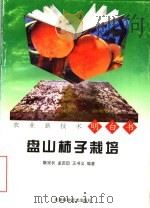 盘山柿子栽培（1998 PDF版）