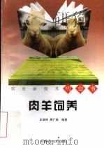 肉羊饲养（1997 PDF版）