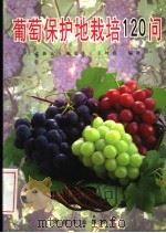 葡萄保护地栽培120问（1999 PDF版）