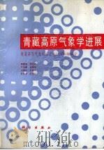青藏高原气象学进展 青藏高原气象科学实验 1979 和研究 1988 PDF电子版封面 7030011066 章基嘉等编写