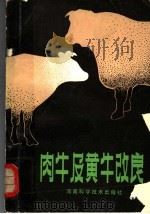 肉牛及黄牛改良（1981 PDF版）
