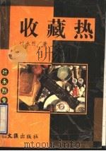 收藏热 1995 PDF电子版封面 7805313369 叶永烈著