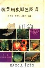 蔬菜病虫原色图谱（1988 PDF版）