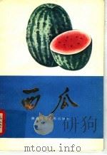 西瓜（1981 PDF版）