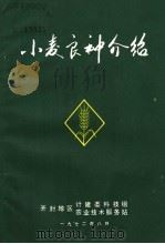 小麦良种介绍（1972 PDF版）