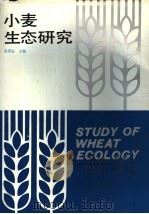 小麦生态研究 1990 PDF电子版封面 753410257X 金善宝主编