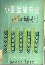 小麦远缘杂交（1985 PDF版）