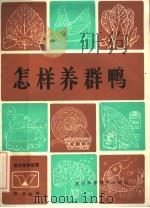 怎样养群鸭 1985 PDF电子版封面 16298·145 李名远,张子元著