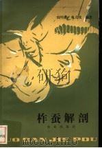 柞蚕解剖（1984 PDF版）