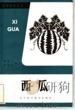 西瓜（1984 PDF版）