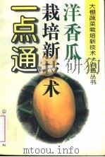 洋香瓜栽培新技术一点通 1996 PDF电子版封面 7533118545 焦自高等编著