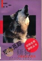 狼迹觅踪 1992 PDF电子版封面 7805146756 俞美华,朱铮编译