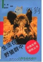 生活在野猪群中 1992 PDF电子版封面 7805148406 朱铮,俞美华编译