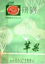苹果（1982 PDF版）