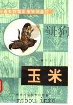 玉米 第2版 1981 PDF电子版封面 16245·12 任和平编著