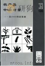 农产品中期前景:至2000年的预测 1994 PDF电子版封面 9255034820 联合国粮食及农业组织