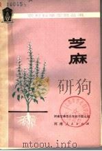 芝麻（1979 PDF版）