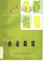 小麦栽培（1984 PDF版）