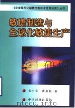 敏捷制造与全球化敏捷生产 1999 PDF电子版封面 7501742316 张申生,蒋新松著