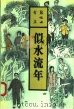 似水流年 1993 PDF电子版封面 7537807655 张恨水著