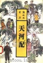 天河配 1993 PDF电子版封面 7537807604 张恨水著