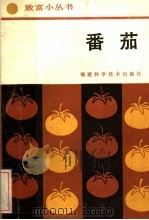 番茄（1987 PDF版）