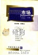 中国对外贸易与国际经济技术合作市场 1999 PDF电子版封面 7216026411 汤传锋等主编