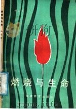 燃烧与生命   1987  PDF电子版封面  7159·1170  孙志宽著 