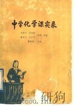 中学化学课实录（1989 PDF版）