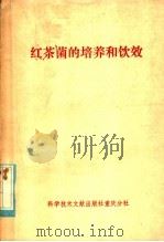 红茶菌的培养和饮效   1981  PDF电子版封面  13176·103  中国科学技术情报研究所重庆分所编辑 