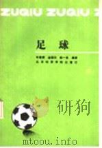 足球 1993 PDF电子版封面 7810036556 年维泗等编著