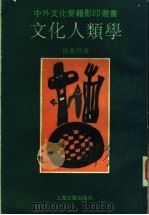 文化人类学 1991 PDF电子版封面 7532107086 林惠祥著