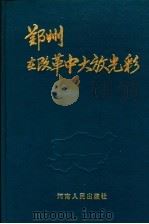 郑州在改革中大放光彩 1993 PDF电子版封面 7215023575 顾宗福主编