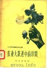 农业大跃进中的珍闻 1959 PDF电子版封面 4144·96 农业资料编辑委员会编