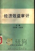 经济效益审计 1988 PDF电子版封面 7215002284 王存炎,王宝均主编