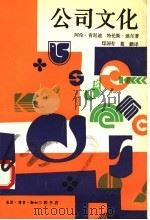 公司文化 公司生活的礼节和仪式 1989 PDF电子版封面 710800206X (美)肯尼迪(Kennedy,A.A.),(美)迪 尔(De