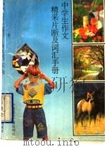 中学生作文精彩片段及词汇手册 1992 PDF电子版封面 7507802574 余丛,葛娅编著