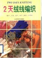 2天绒线编织  帽子、手套、围巾、袜子、披肩、小饰物（1995 PDF版）