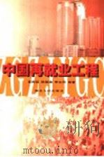 中国再就业工程 1999 PDF电子版封面 7216027108 辜胜阻,陈银娥,李永周等著