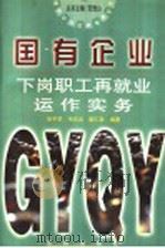 国有企业下岗职工再就业运作实务 1998 PDF电子版封面 7544110966 徐平华等编著