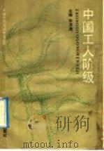 中国工人阶级   1990  PDF电子版封面  7805572658  孙洪涛 