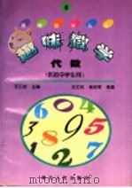 超味数学 4 ·代数 1996 PDF电子版封面 7216019857 汪江松主编;汪江松,杨世明编著