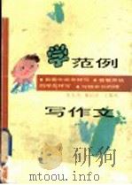 学范例 写作文 1997 PDF电子版封面 7530927256 任东升等著