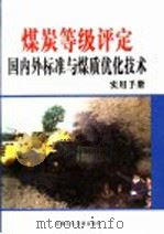 煤炭等级评定国内外标准与煤质优化技术实用手册  第4卷（ PDF版）