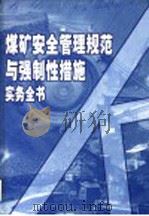 煤矿安全管理规范与强制性措施实务全书  第4册（ PDF版）