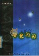 荧光闪闪 1979 PDF电子版封面 7099·918 王敬东编著