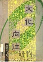 文化向往 1999 PDF电子版封面 7532917037 赵学法著