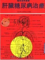 肝脏糖尿病治疗（ PDF版）